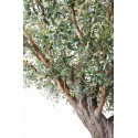Stort kunstigt Oliventræ H350 cm