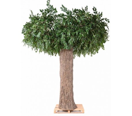Stort kunstigt Ficus træ H320 x Ø450 cm