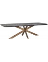 Hayley spisebord i stål og genanvendt egetræ 280 x 110 cm - Børstet bronze/Sort