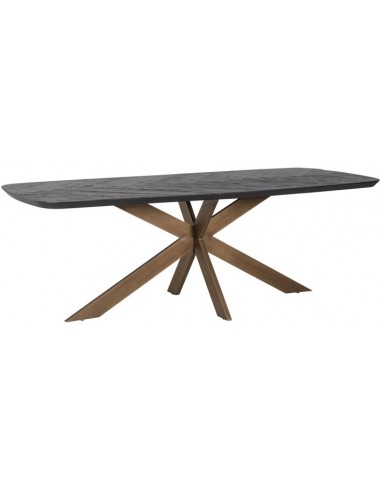 Se Hayley spisebord i stål og genanvendt egetræ 230 x 100 cm - Børstet bronze/Sort hos Lepong.dk