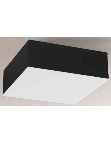 Se Tottori Plafond i aluminium og plexiglas 10 x 10 cm 1 x 10W LED - Sort/Hvid hos Lepong.dk