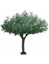 Stort kunstigt Oliventræ H440 cm UV resistent