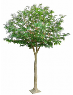 Stort kunstigt bucidatræ...