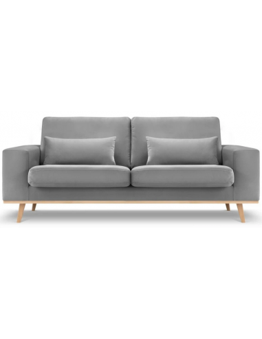 Tugela 2-personers sofa i bøgetræ og velour B199 x D93 cm – Bøg/Grå