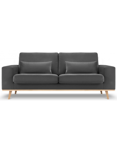 Tugela 2-personers sofa i bøgetræ og velour B199 x D93 cm – Bøg/Mørkegrå