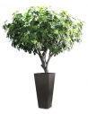 Stort kunstigt figentræ H250 cm