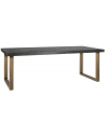 Blackbone spisebord i egetræsfinér og stål 180 x 100 cm - Antik børstet messing/Rustik sort