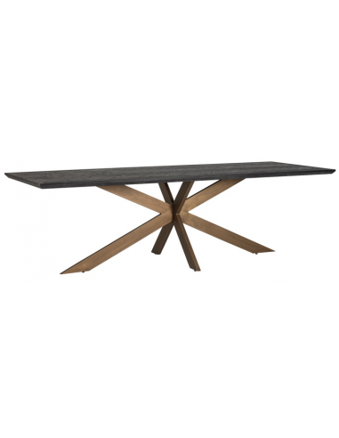 Se Blackbone spisebord i egetræ og stål 260 x 100 cm - Antik børstet messing/Rustik sort hos Lepong.dk