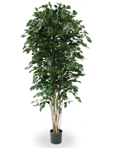 Stort kunstigt Ficus træ H210 cm