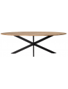 Rustikt spisebord i stål og akacietræ 210 x 100 cm - Sort/Rustikt brun
