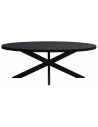 Rustikt spisebord i stål og mangotræ 210 x 100 cm - Sort/Rustikt sort