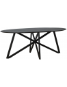 Rustikt spisebord i stål og akacietræ 200 x 100 cm - Sort/Rustikt sort