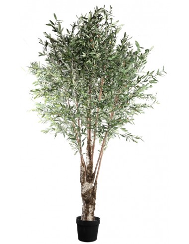 Se Stort kunstigt oliventræ H265 cm - Grøn hos Lepong.dk