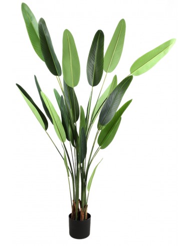 Kunstig banan palme H175 cm - Grøn