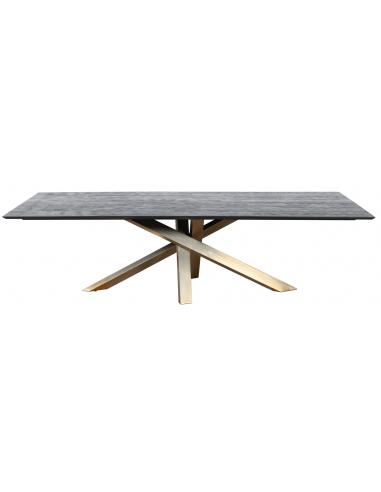 Se Alore spisebord i stål og mangotræ 200 x 100 cm - Antik guld/Rustik brun hos Lepong.dk