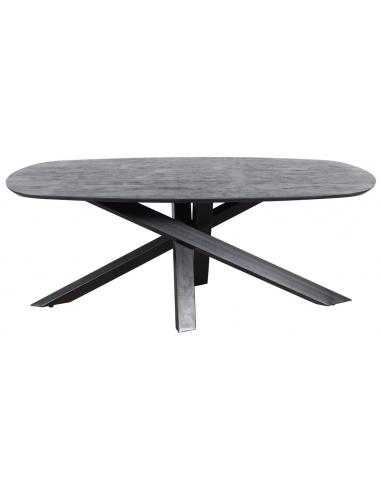 Se Alore ovalt spisebord i stål og mangotræ 200 x 100 cm - Sort/Rustik sort hos Lepong.dk