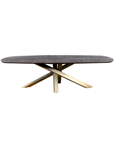 Billede af Alore ovalt spisebord i stål og mangotræ 200 x 100 cm - Antik guld/Rustik sort
