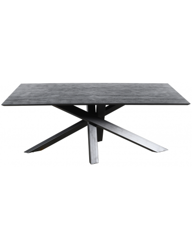 Billede af Alore spisebord i stål og mangotræ 200 x 100 cm - Sort/Rustik sort