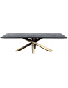 Alore spisebord i stål og mangotræ 200 x 100 cm - Antik guld/Rustik sort