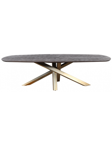 Se Alore ovalt spisebord i stål og mangotræ 200 x 100 cm - Antik guld/Rustik brun hos Lepong.dk