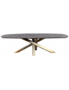 Alore ovalt spisebord i stål og mangotræ 200 x 100 cm - Antik guld/Rustik brun