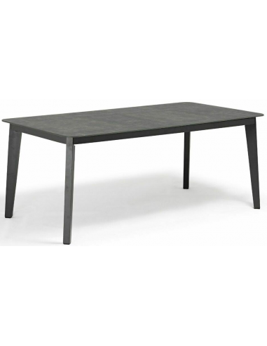 Billede af Diva havebord i aluminium og glas 220 x 90 cm - Antracit/Mørkegrå