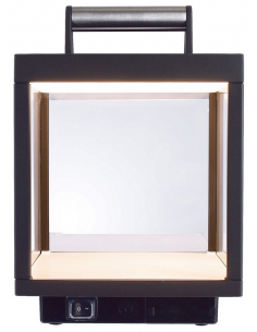 Lacertae inden-/udendørs... 2