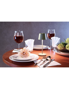 Canis Mini inden-/udendørs... 2