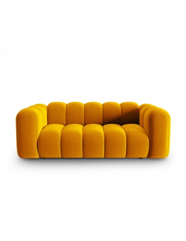 Lupine 2-personers sofa i velour B198 x D87 cm – Sort/Gul