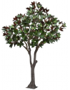 Stort kunstigt Magnolia træ H300 cm