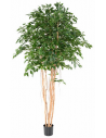 Stort kunstigt Ficus træ H260 cm - Grøn