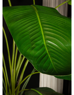 Kunstig strelitzia palme... 2