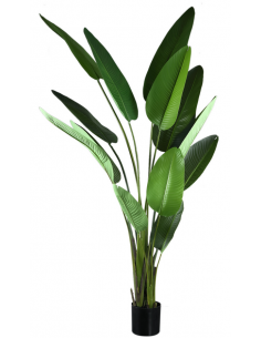 Kunstig strelitzia palme...