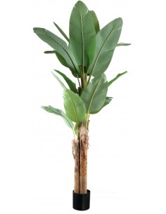 Kunstig banan palme H280 cm...