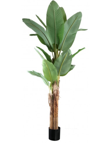 Kunstig banan palme H280 cm - Grøn