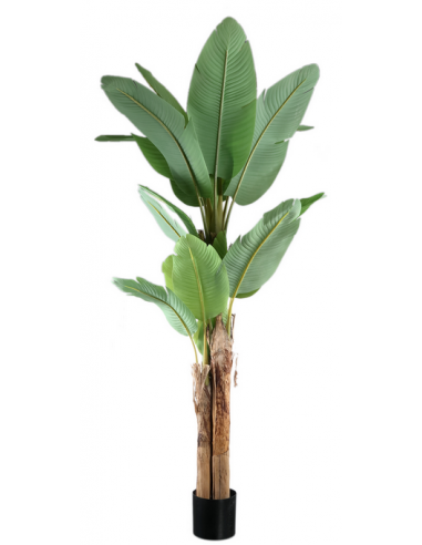 Kunstig banan palme H208 cm - Grøn