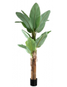 Kunstig banan palme H208 cm - Grøn