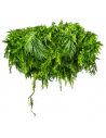 Sway svævende have i kunstige planter Ø100 cm - Grøn