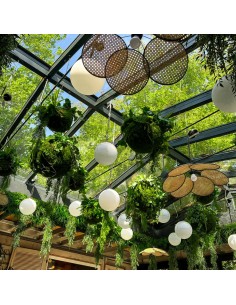 Kokedama have i kunstige... 2