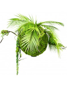 Kokedama have i kunstige...