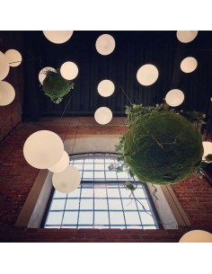 Kokedama have i kunstige... 2