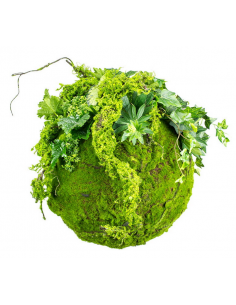 Kokedama have i kunstige...