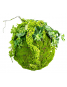 Kokedama have i kunstige planter og mos Ø35+ cm - Grøn