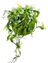 Kokedama have i kunstige planter og mos Ø45+ cm - Grøn