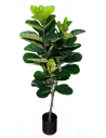 Kunstig Ficus plante H150 cm - Grøn