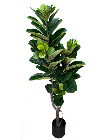 Kunstig Ficus plante H180 cm - Grøn