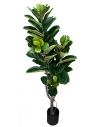 Kunstig Ficus plante H180 cm - Grøn