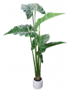 Kunstig Alocasia plante H170 cm - Grøn