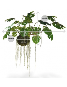 Stor Monstera kunstig... 2