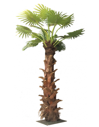 Kunstig Sabal palme H250 cm - Brun/Grøn